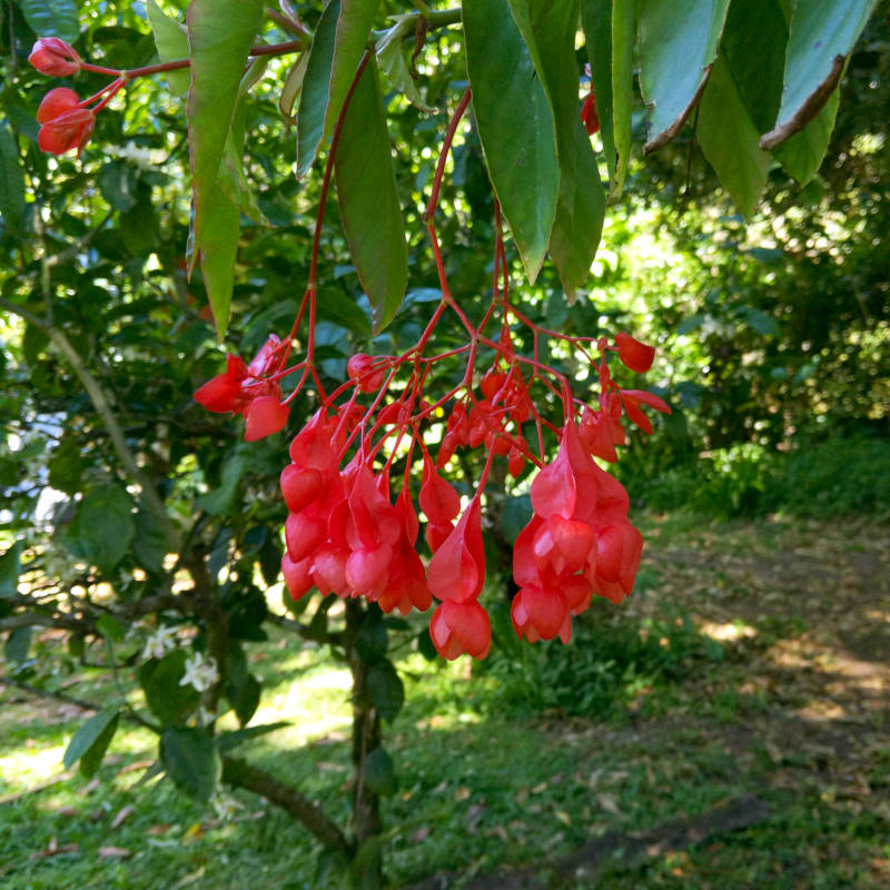 Flowers ahoy.