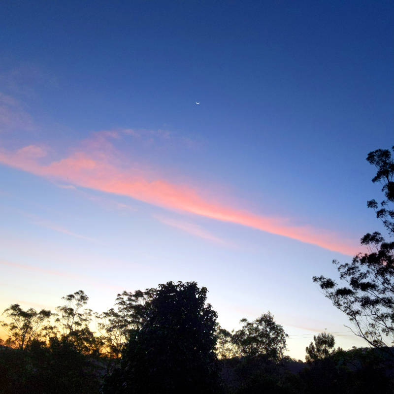 Shepherd's delight.